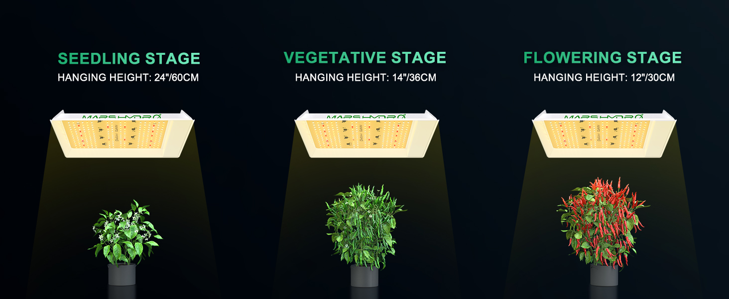 SEEDLING STAGE HANGING HEIGHT 24 60CM VEGETATIVE STAGE HANGING HEIGHT 14 36CM FLOWERING STAGE HANGING HEIGHT 12 30CM