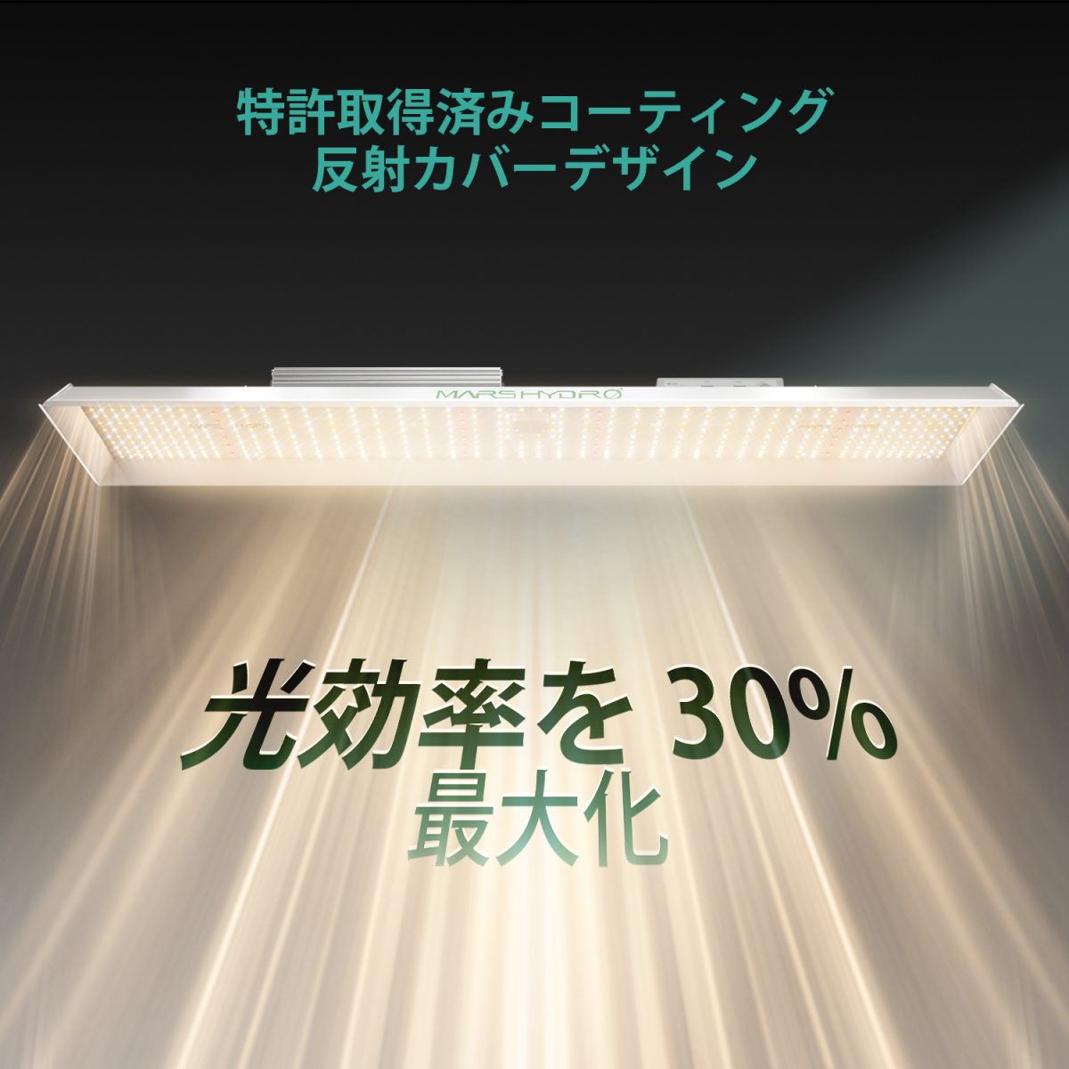 MARS HYDRO 完全な成長テントキット