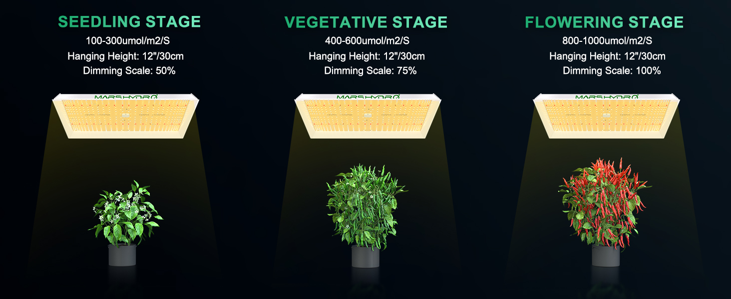 TSW 2000（範囲120x120CM / 270W）植物育成LEDライト