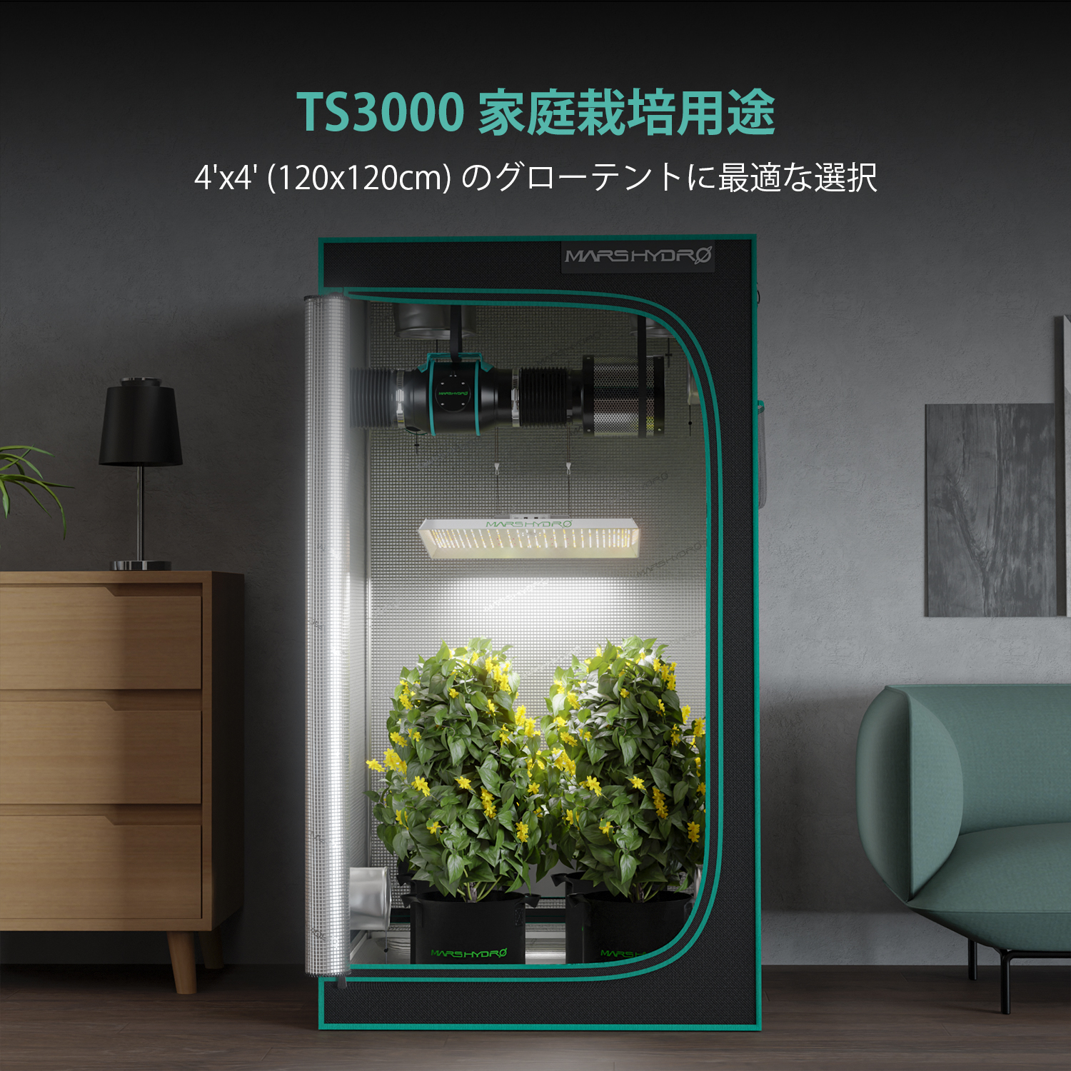 TS 3000（範囲150x150CM / 405W）植物育成LEDライト