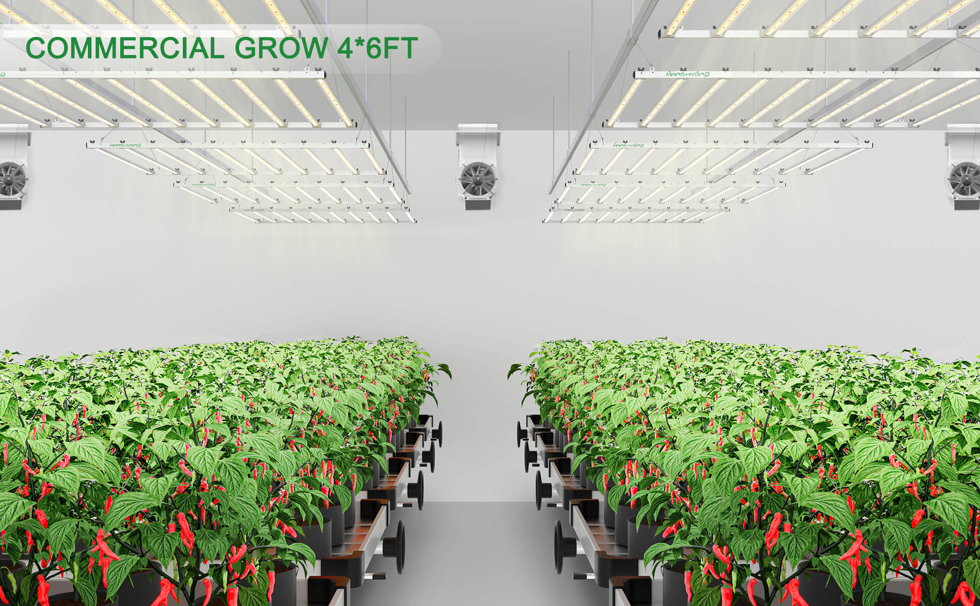 mars-hydro-fce1000W-led-grow-light-commercial-grow-4x6ft
