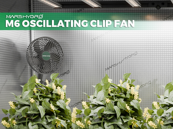 Grow Tent Clip Fan Oscillating Fan - Mars Hydro JP