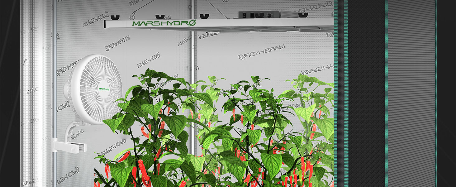 Mars-Hydro-Clip-Fan-growing scene