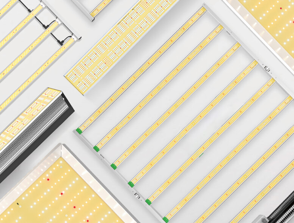 どの LED 植物育成ライトが私に最適ですか? マース ハイドロ購入ガイド