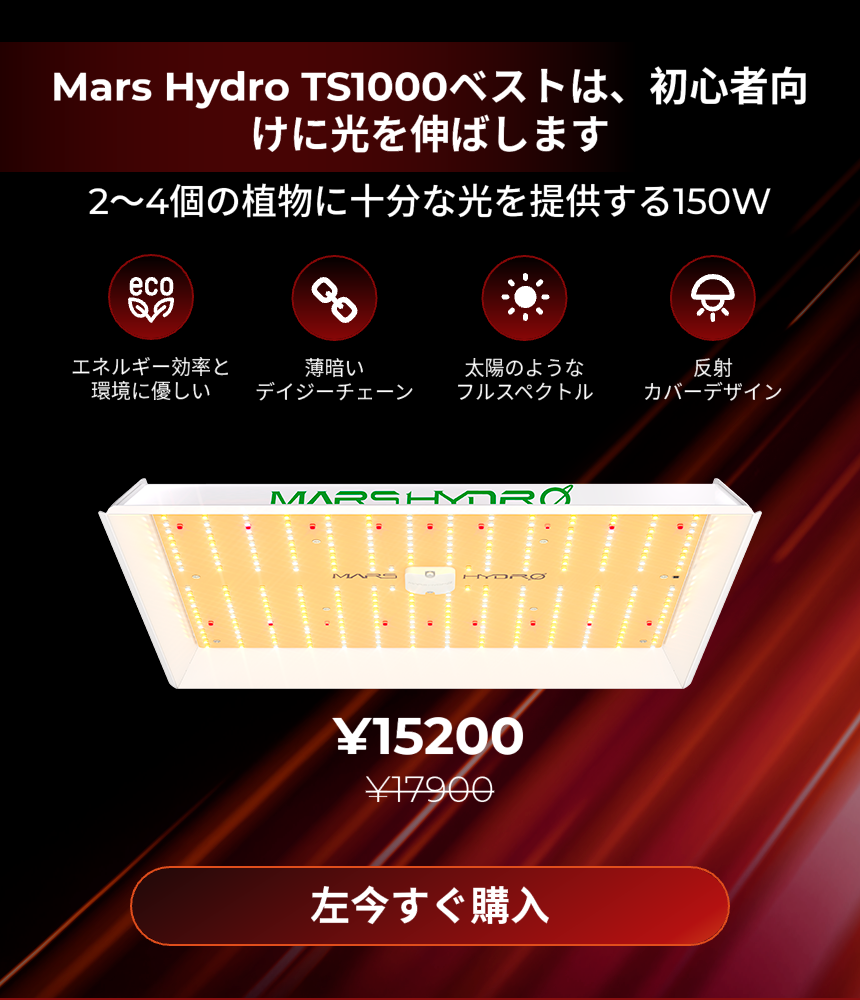 2023 Black Friday - Mars Hydro JP