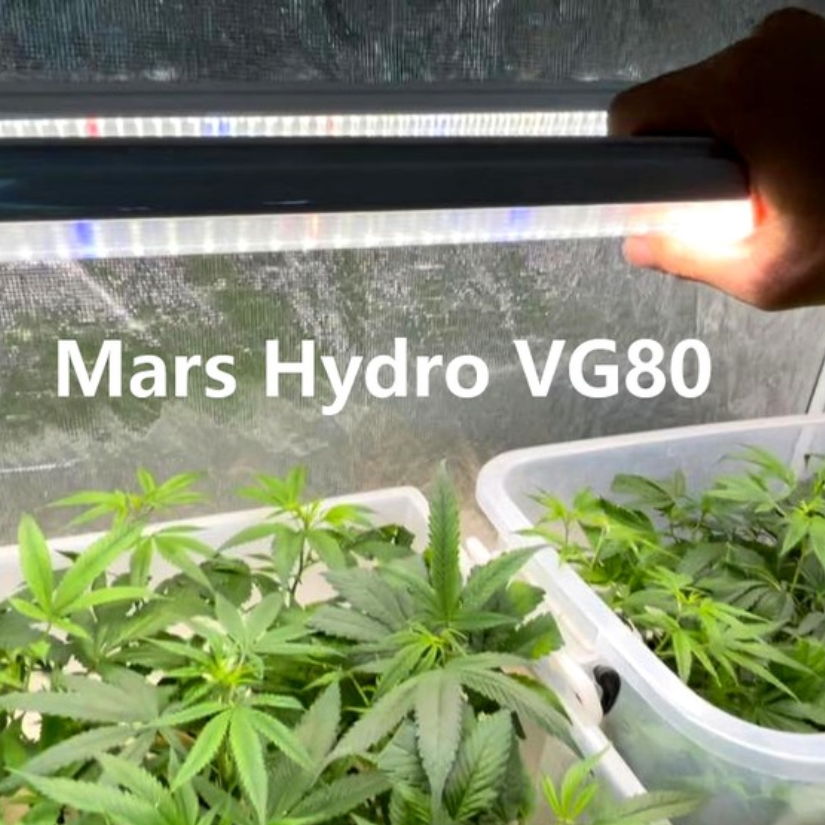 育成ライト MARS HYDRO VG80 Mars Hydro VG80（範囲120×60CM / 80W）LED 植物 育成 ライト