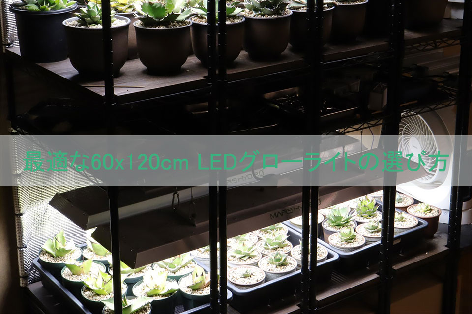 海外園芸家御用達】植物育成LEDライトMARS HYDRO TS-1000