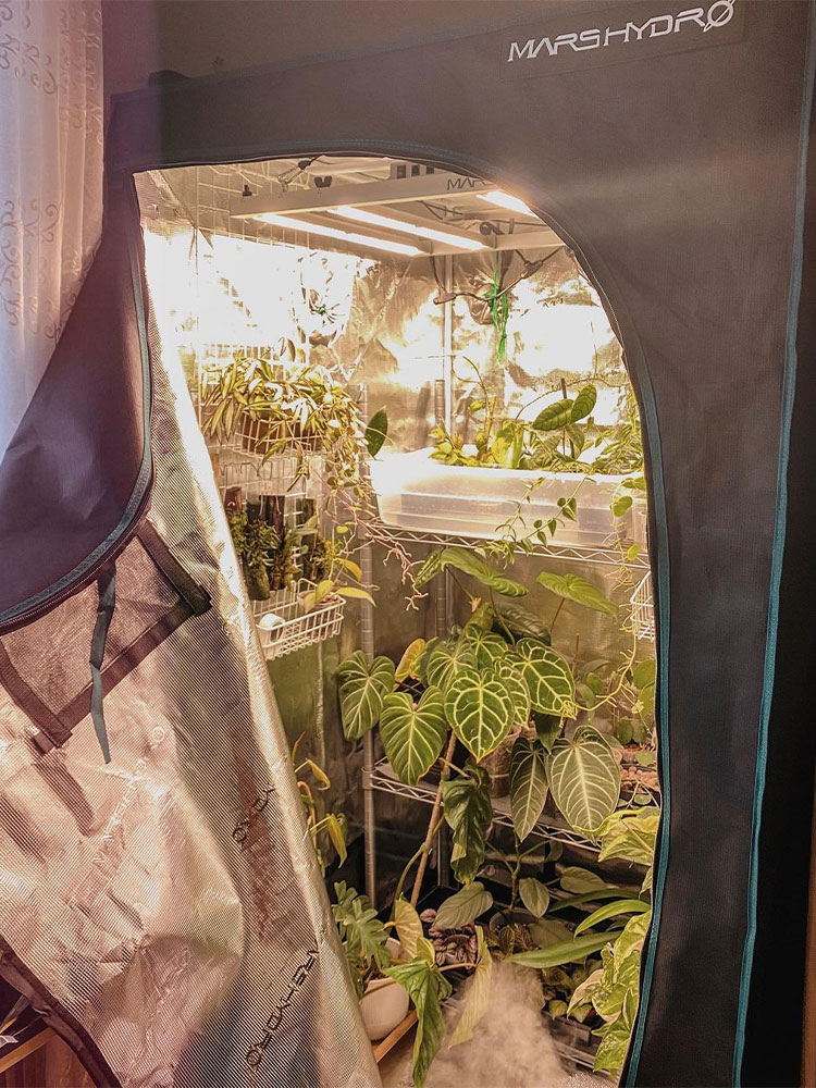 TENT-GARDEN
