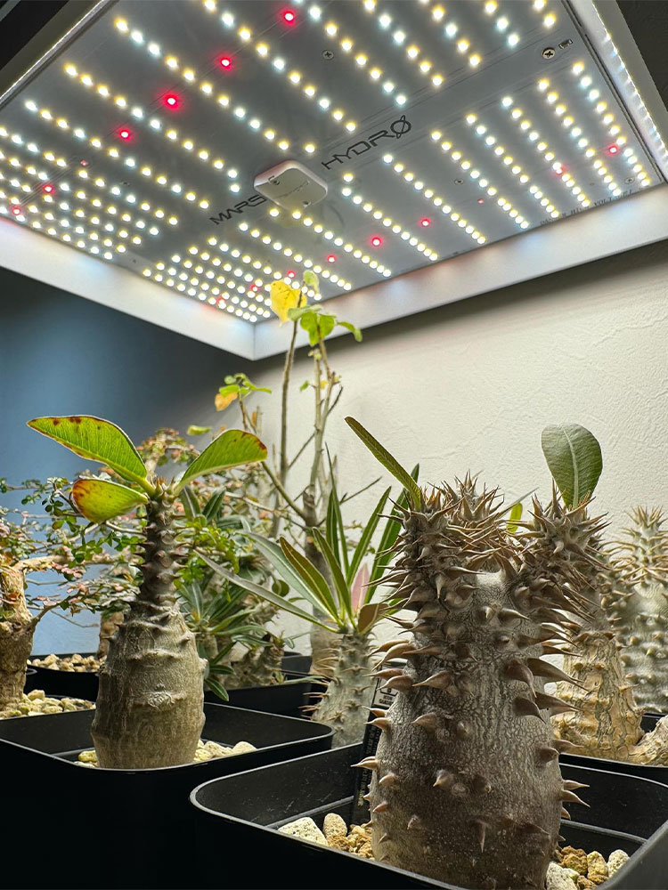 TS1000-LED-GROW-LIGHT