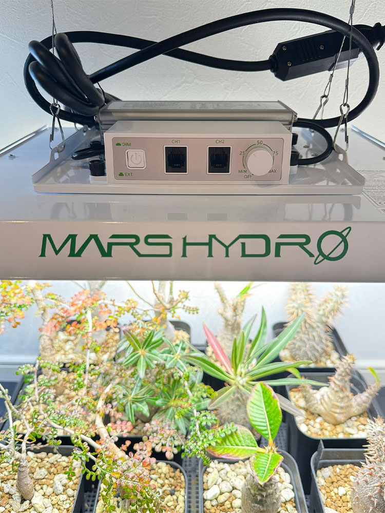 TS1000-PLANT-LAMP