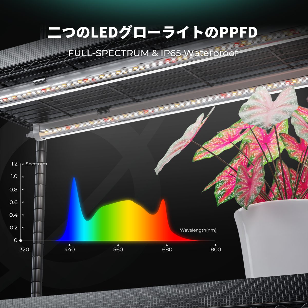 2025年の新しいリリース] Mars Hydro 6段プラントスタンド（250W