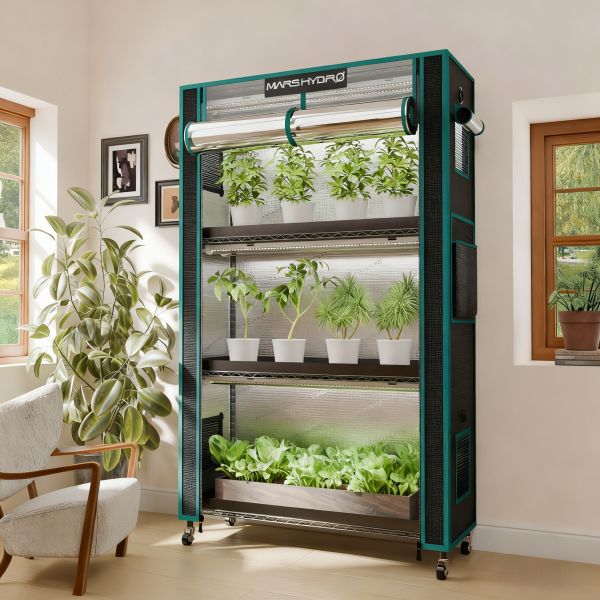 植物育成ライト　MARShydro ちー Shop - Mars Hydro JP