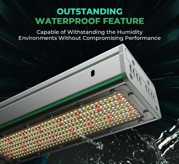 SP-3000-G-10.jpg SP-3000-G-10.jpg